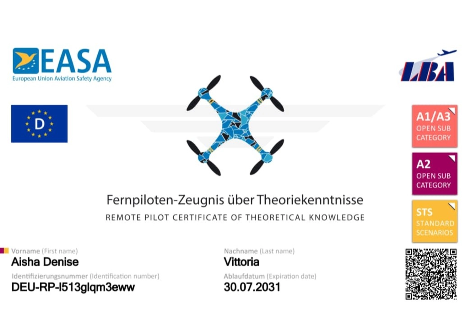 DrohnenRein - Drohnenreinigung -Drohnen